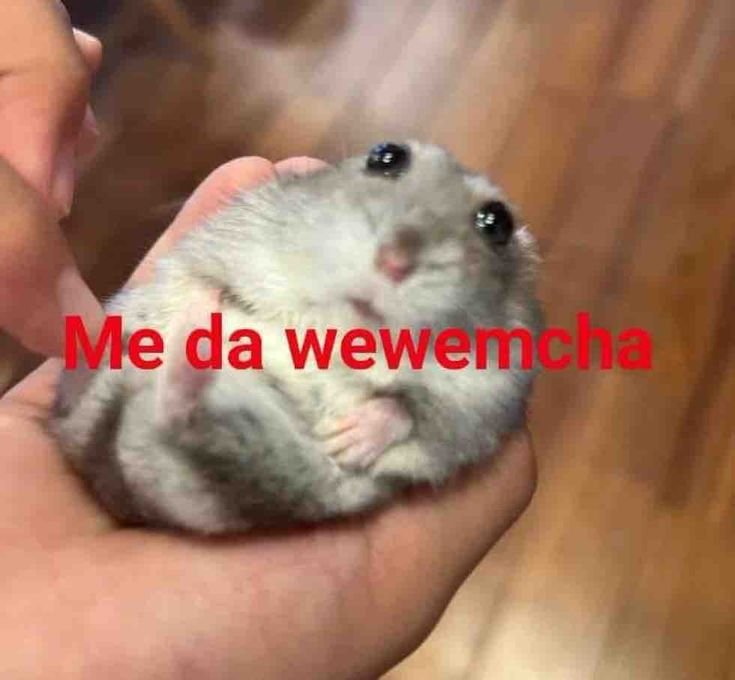 Dinodanmin's tweet photo. Acá si puedo ser T/N? https://t.co/x8ZagpCSj2