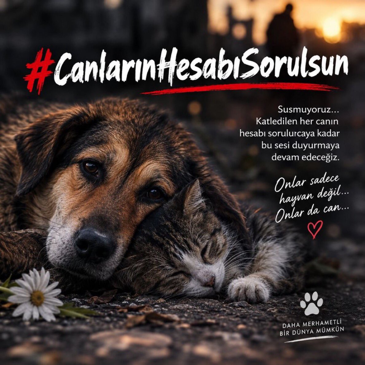 karacaa's tweet photo. @ZaferArapkirli #CanlarınHesabıSorulsun etiketine destek lütfen https://t.co/wsMh3Xl0vp