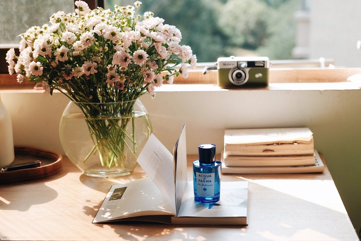 petir728626's tweet photo. New to photography Start with your phone’s camera! Shoot natural light, keep it simple, and don’t fear blurry shots—practice is all it takes. https://t.co/IM6wGl4c93