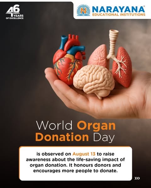 DottieEverp7es's tweet photo. World Organ Donation Day, observed every August 13, raises awareness of organ donation’s life-saving power. One donor can save up to 8 lives by donating the heart, lungs, kidneys, liver, pancreas, and intestines. Your pledge today can give someone https://t.co/9KciPyu5KS