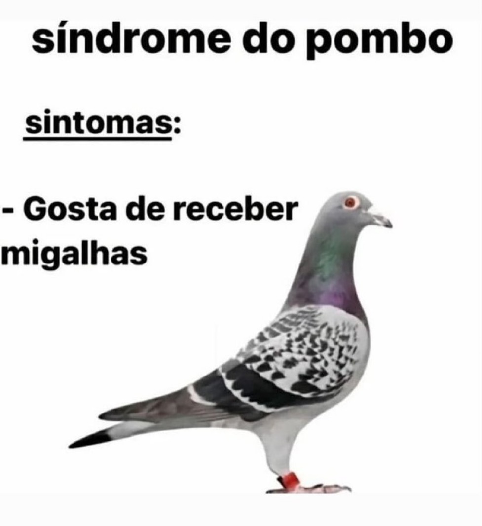 relacionemos's tweet photo. https://t.co/E9xCd7if57