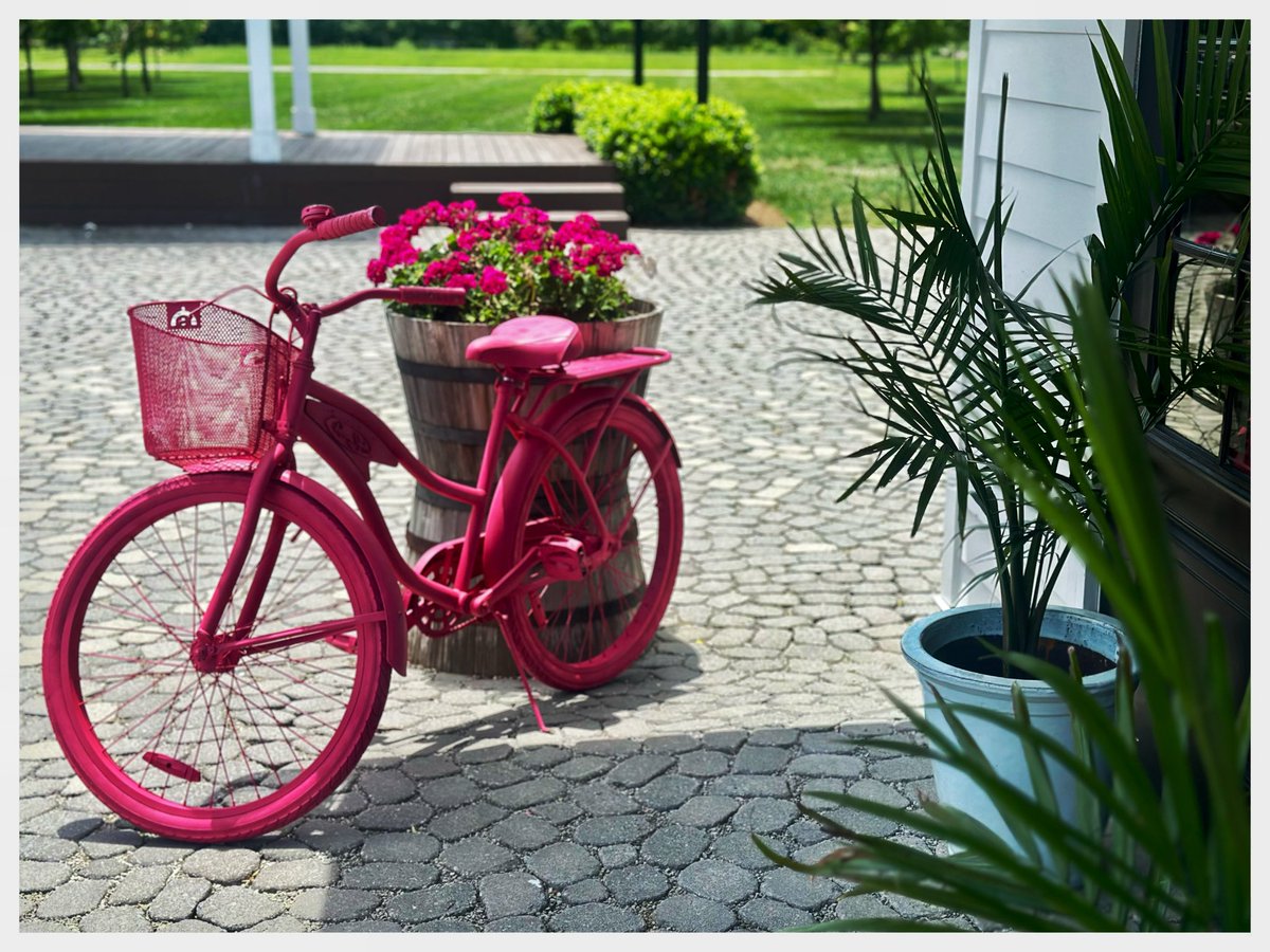 stealthography's tweet photo. #streetphotography #photography #NatureBeauty #pink #art #nialong https://t.co/UhzXomZhUs