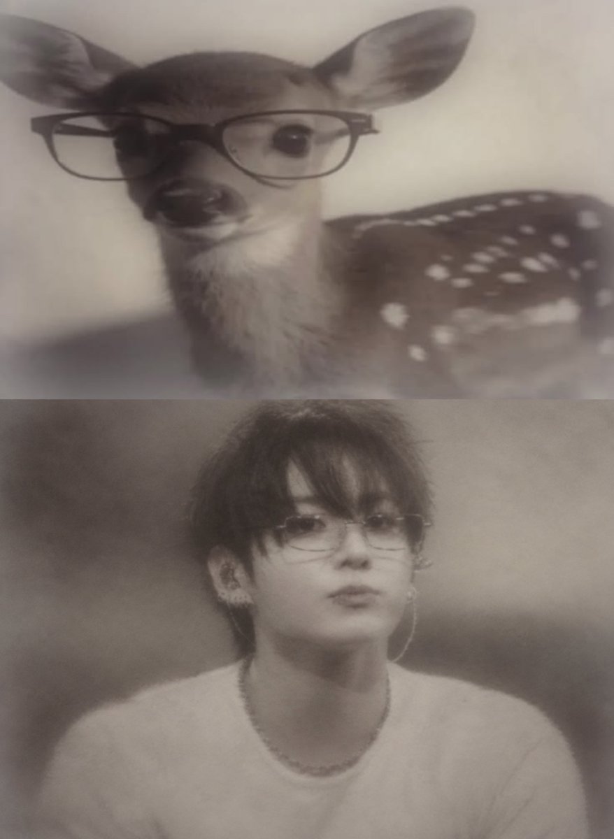 jungkookmoonn's tweet photo. https://t.co/kb9V8P1gjo