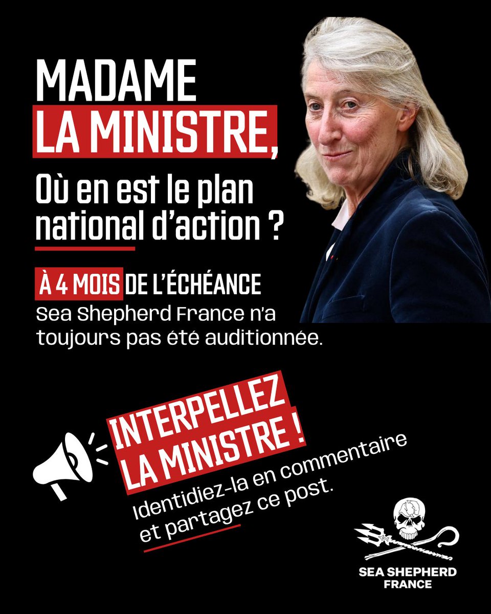 SeaShepherdFran's tweet photo. Madame la Ministre, où en est le Plan national d’actions ?
Sea Shepherd France est prête à être auditionnée. Nous avons des solutions concrètes à mettre sur la table.
Nous réclamons un Plan national d’actions à la hauteur de l’enjeu, pour réparer le préjudice écologique et protéger durablement les petits cétacés.
Interpellez la ministre en commentaire et partagez ce post.
🐬 Les solutions existent. Nous sommes prêts.