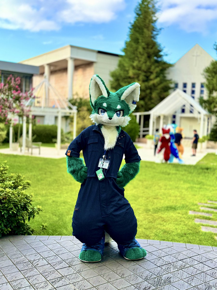 Renri_wolf's tweet photo. ロワジ再来！
#FursuitFriday https://t.co/RiwOqZDSUt