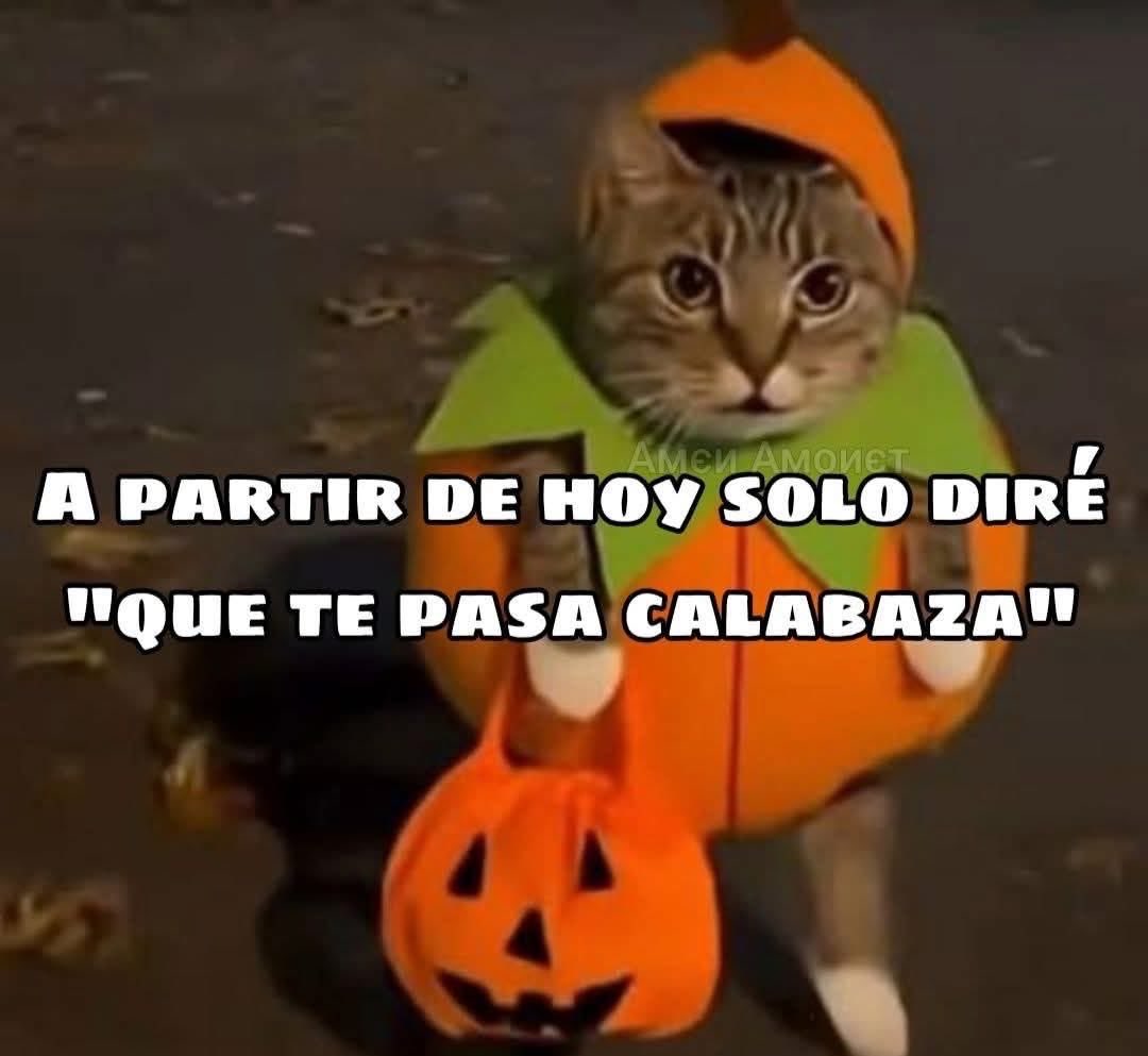 norelenita's tweet photo. Para que se lo sepan… https://t.co/mfVYkWiHio