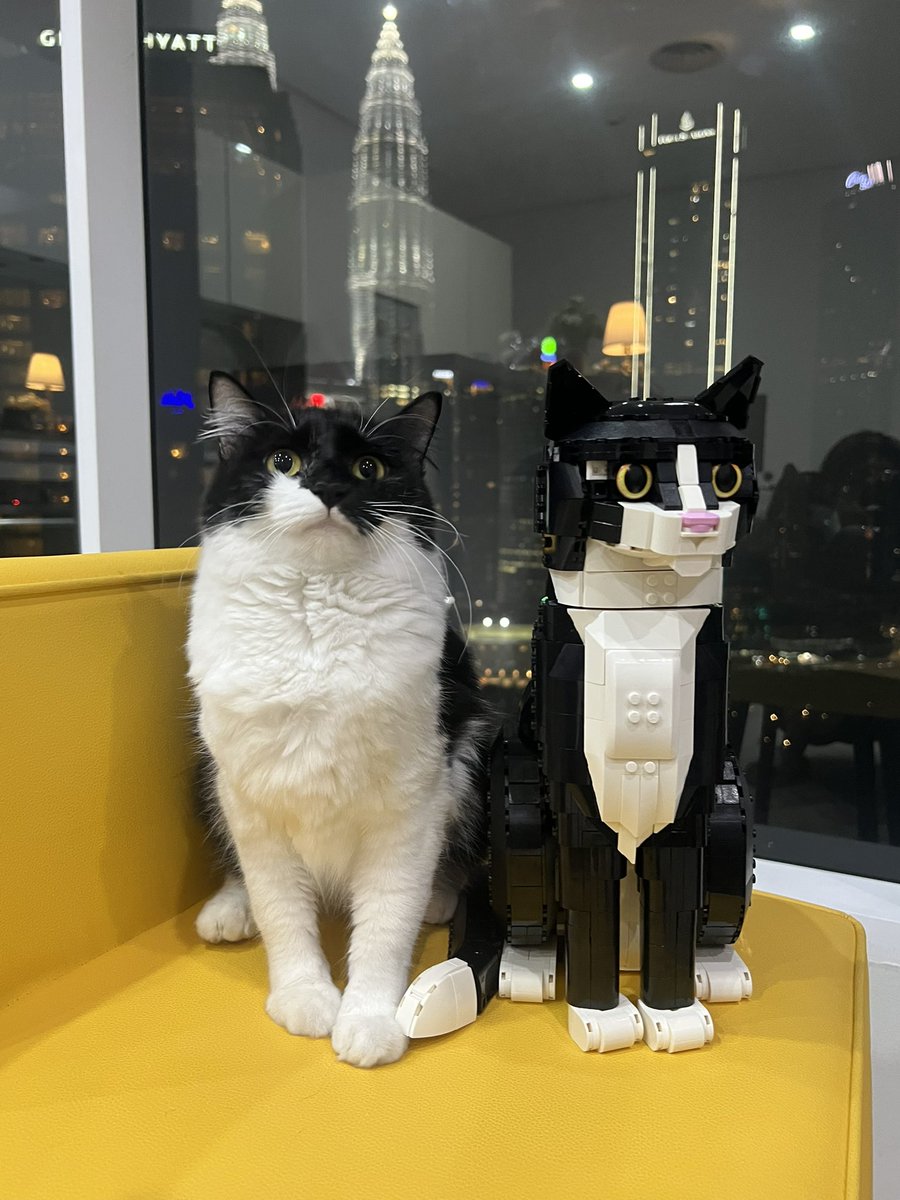 roy1813826's tweet photo. lego cat https://t.co/kS0MvEvkjZ