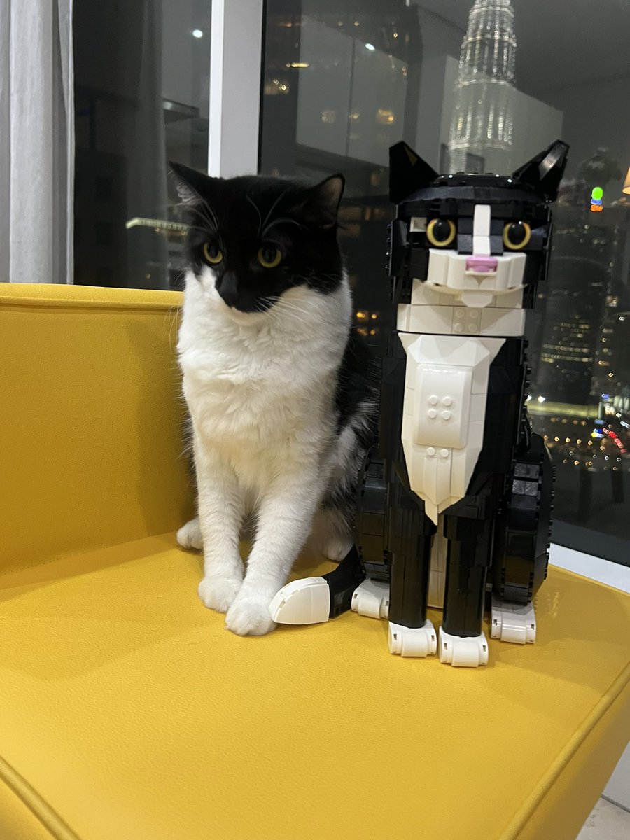roy1813826's tweet photo. lego cat https://t.co/kS0MvEvkjZ