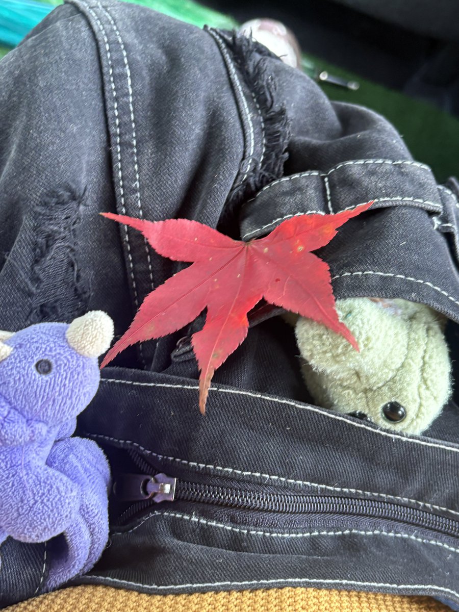 yawn00002's tweet photo. #うちのワーリー https://t.co/0KbcXpBPVn