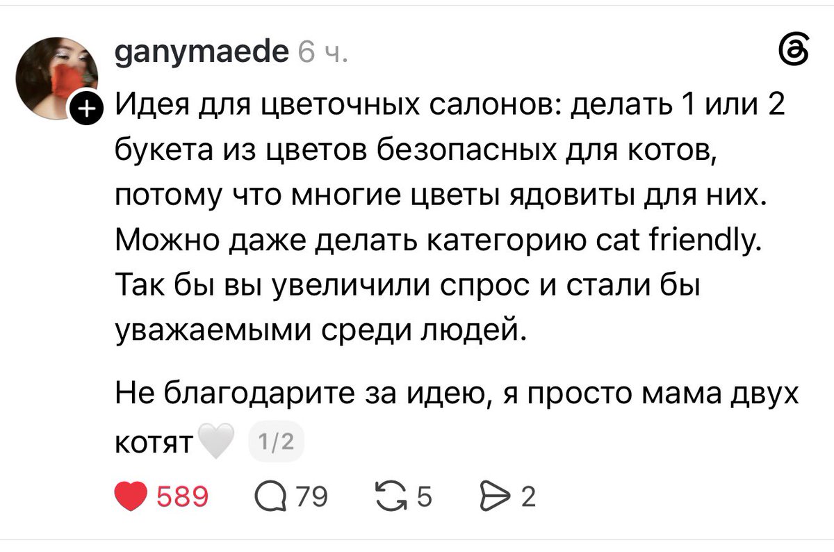 kuma_macka's tweet photo. Считаю это гениальной идеей https://t.co/wpRDZpvk4e