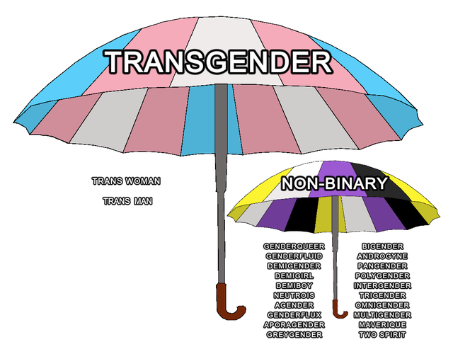 astrobabeyyy's tweet photo. to the person in my strawpage who said im not transgender i present you this https://t.co/VzmmFDiOYH