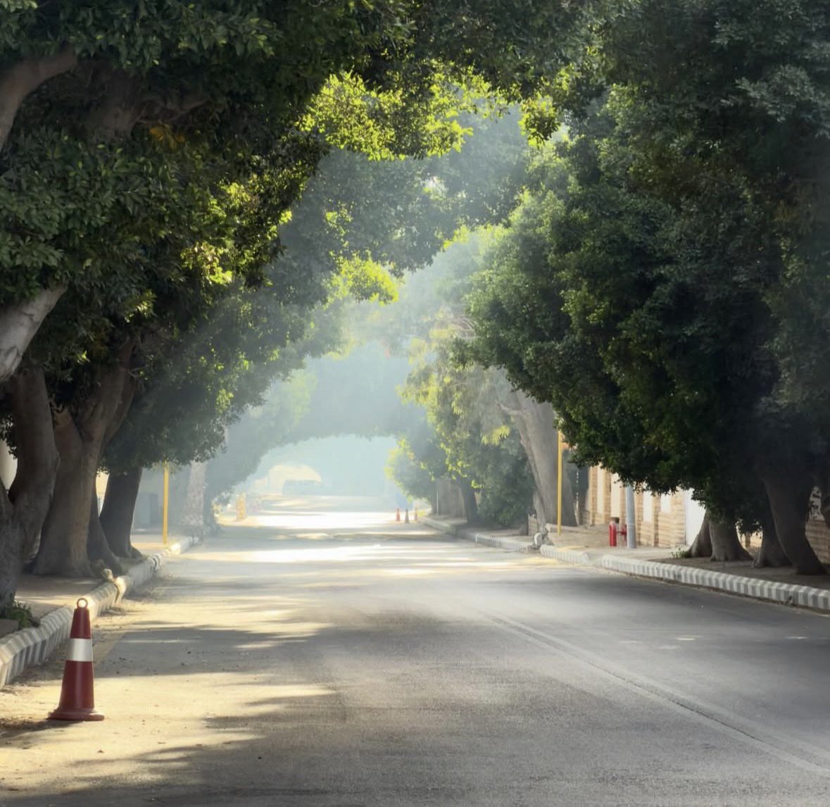 MIIILP0's tweet photo. إستهداف مدينة الطائف الجميلة يُفسد الكثير من المزاج، قنِّينة العطر الحجازي، أمُّ الحجاج بن يوسف وخالد البجلي
مدينة الورود وعاصمتها العربية
القلب مع الطائف دائمًا ✨ https://t.co/1NvTAobOSa