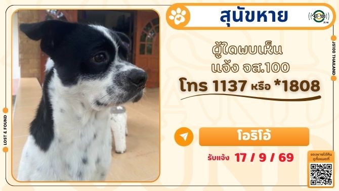 js100radio's tweet photo. สุนัขหายจากบ้าน ถ.ต้นมะสัง ต.ชะอำ อ.ชะอำ จ.เพชรบุรี ผู้ใดพบเห็นแจ้ง JS100 โทร *1808 หรือ 1137

รายละเอียดเพิ่มเติม : https://t.co/9E9914rUHK

#สุนัขหาย #ตามหาสุนัขหาย #JS100 https://t.co/OGyVjtgtuF