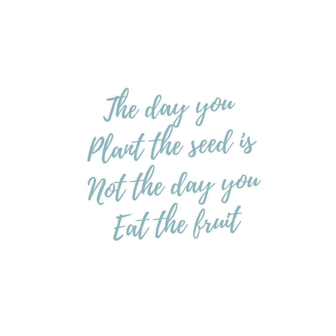 SunshineDenbhx's tweet photo. THE DAY YOU PLANT...... My favorite quote https://t.co/iccSgkxECU