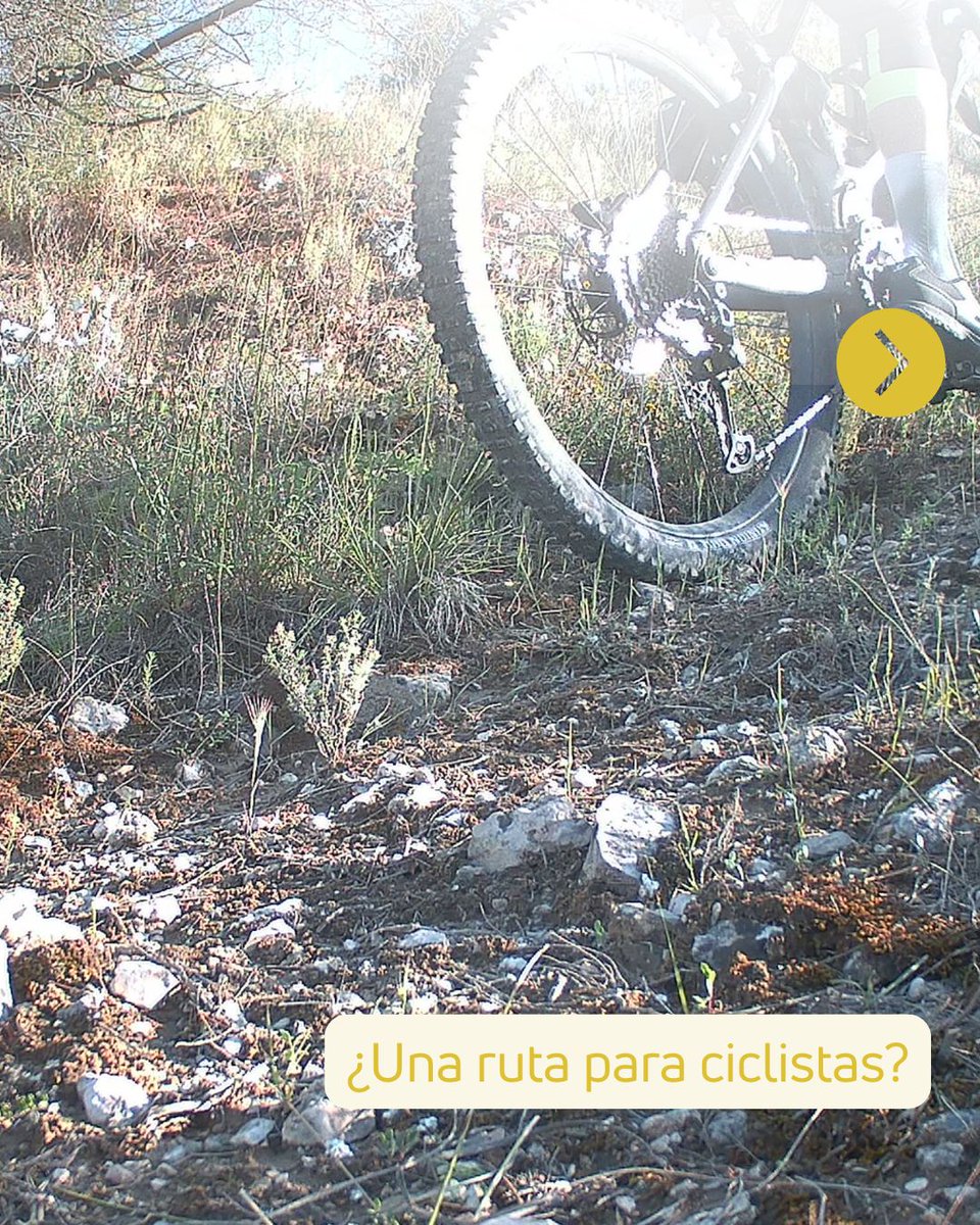 FundacionSMLRPH's tweet photo. 🐾 Lo que parece un espacio vacío es una ruta llena de vida. Las cámaras de #PermeaILTACLasVegas nos muestran lo que ocurre fuera de nuestra mirada. 🌿👀
ℹ️https://t.co/pbitdhHfNd
#Biodiversidad #ConectividadEcológica @ComunidadMadrid https://t.co/YeZLY9R9fj