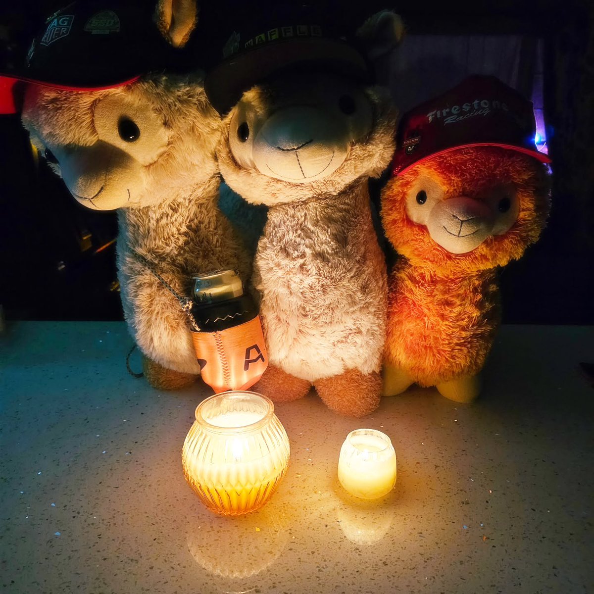 ZettaValrie's tweet photo. Scary weather around Chicago today, and even the power went out—but the TrackSideLlamas are hanging in there by candlelight! Meanwhile, congratulations to @coreyheim_ on winning the 2026 Brickyard 400 at @indianapolismotorspeedway! Stay safe, https://t.co/iYotkKgKia