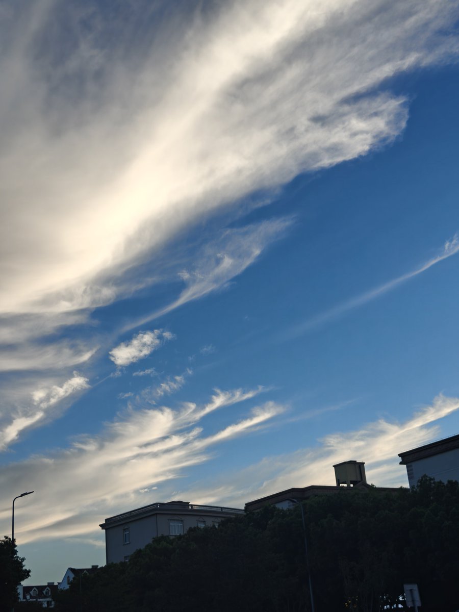 miaojituo's tweet photo. 我好像一直在证明谁都不是必不可少，不可或缺的存在
好消息是最近不e了，像前额叶被挖掉了一样，成天傻乐
坏消息……没有坏消息啊
中秋要去参加婚礼了，好期待
感觉我见到她就会哭出来QAQ
看见你幸福我也会落泪
下播！ https://t.co/PlIhzYFbgv