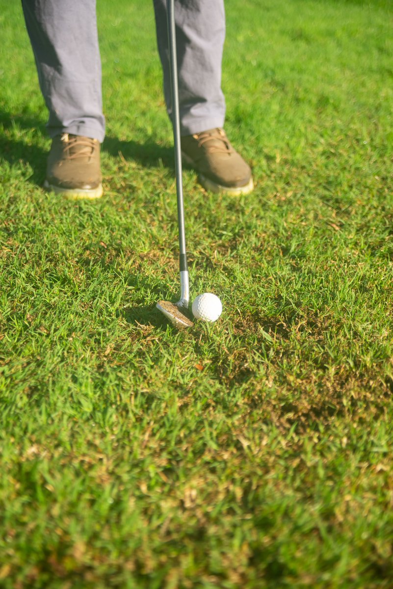 sbsuguligc2giz's tweet photo. For flexion, the swing felt confident and crisp at the academy range on a chilly day. I was there after a review with a designer, and we were curious. I felt cheered. #GolfTime #TeeTimeVibes https://t.co/AyJVxVohUq