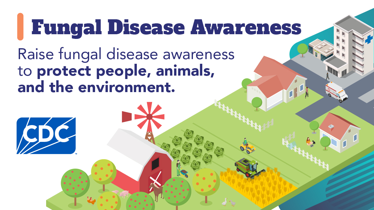 CDPHE's tweet photo. Fungal diseases can be spread between people, animals, and the environment. Talk to your doctor or healthcare provider if you think you have a fungal infection and need testing. Learn more: https://t.co/ZnlrHOVKsK https://t.co/PxhBLFYO9l