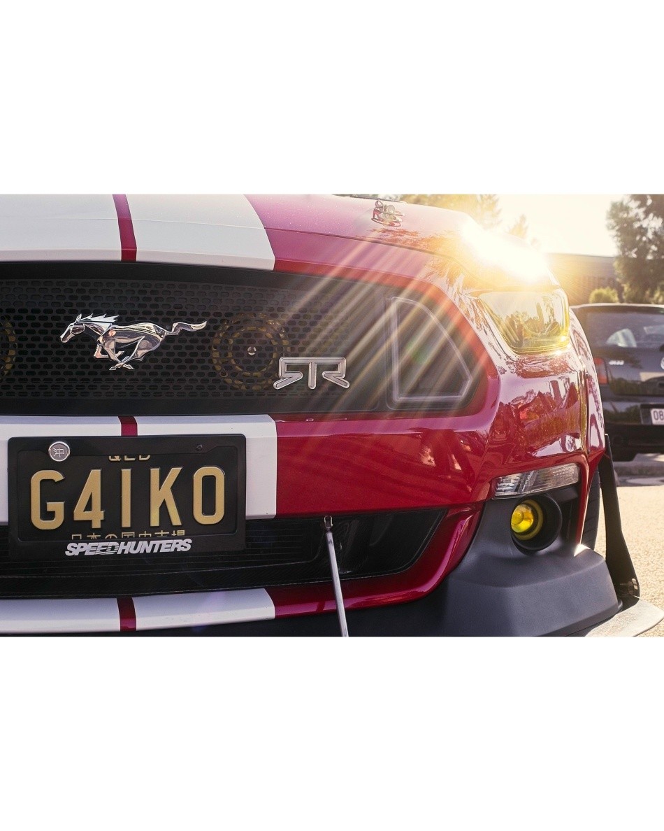 BelenFleispj's tweet photo. Day 1 of posting this Mustang until I run out of photos. The sunlight reflecting off the headlight—such a beautiful machine. If anyone knows G4IKO, please share. Thank you for bringing this beauty out for us to enjoy. https://t.co/InoREhJYip