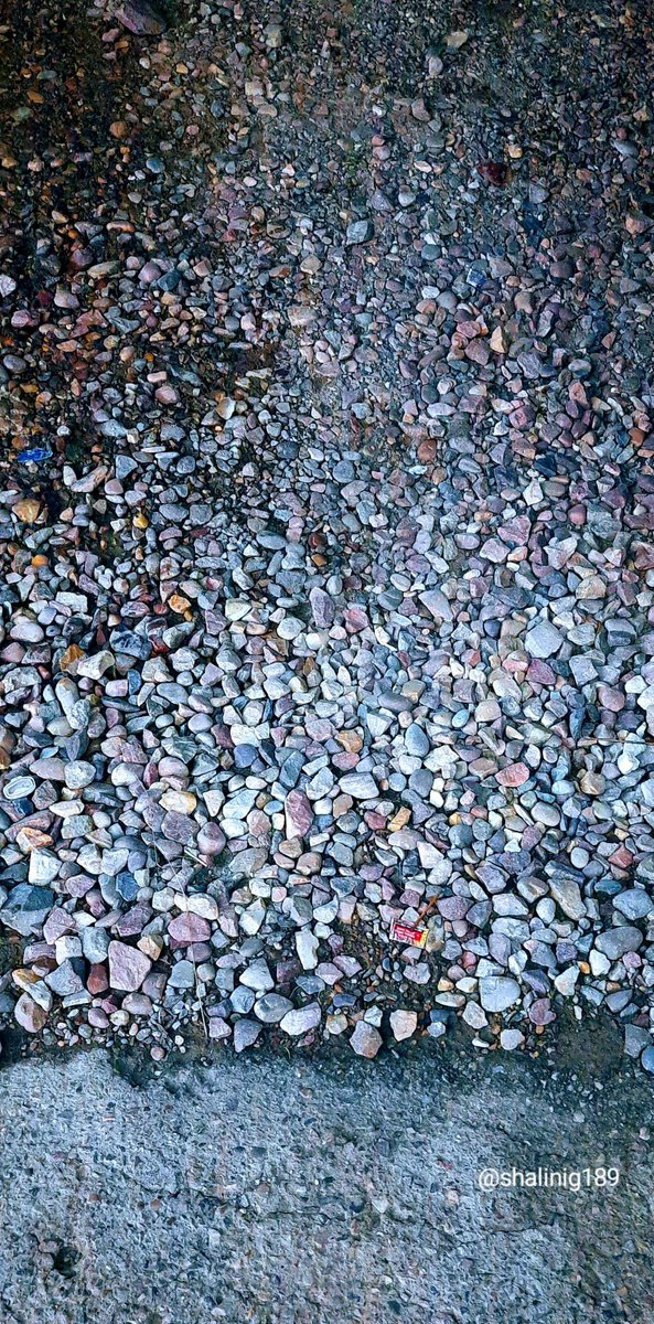 shalinig189_g's tweet photo. Today challenge ::Stone
Taking the rough,with the smooth...Gravel pebble stones 🤍 💙 ✨️
Clubbing the 2 challenges together
#stone
#TheSameThingManyTimes @pmj_photos
#PMJWeeklyChallenge https://t.co/zzWlEzd7yl
