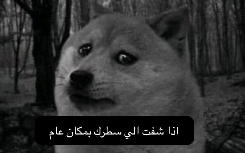 lindaa_8__'s tweet photo. @meska_mohamed 😭😭😭😭😭😭😭😭😭😭 https://t.co/1hKeutmbiO