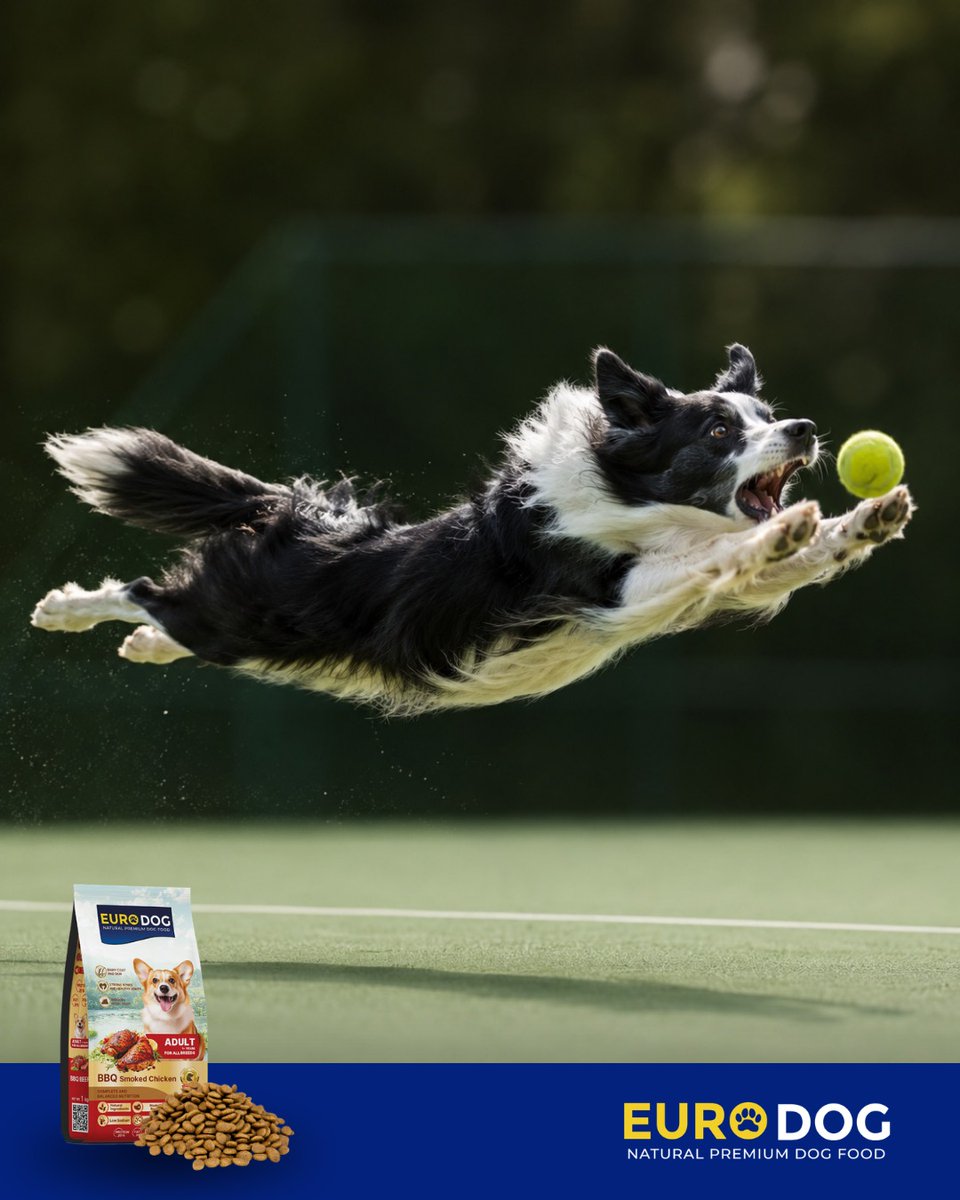 FerminYafai's tweet photo. One made the winning shot. One made the winning catch. Congratulations, Alex, on making the Philippines proud once again! Here’s to celebrating every kind of big win with nutrition that helps active dogs play their best. https://t.co/hVqmRUoM2b