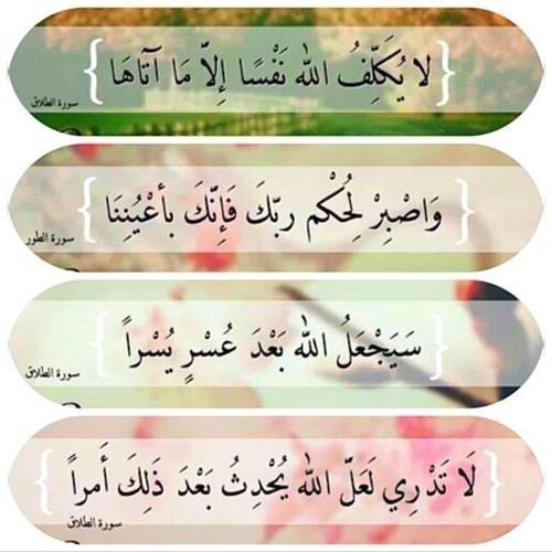 shaimaa_y6's tweet photo. اجعل لك وِردًا يوميًا من القرآن لا تتركه، وتدبّره ما استطعت، فستجد أن قلبك غير القلب الذي كان، وستشعر أن الآخرة أكبر همك والدّنيا أصغر مطالبك (*)🌺 https://t.co/aMd0A3BbFB