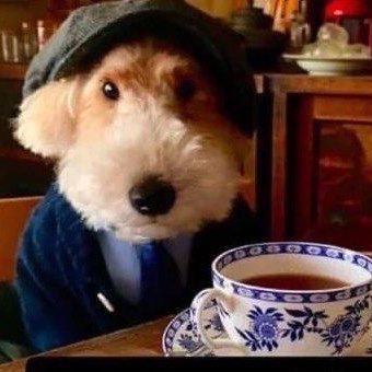 singingwsirens's tweet photo. #NewProfilePic https://t.co/5lrakW2zHm