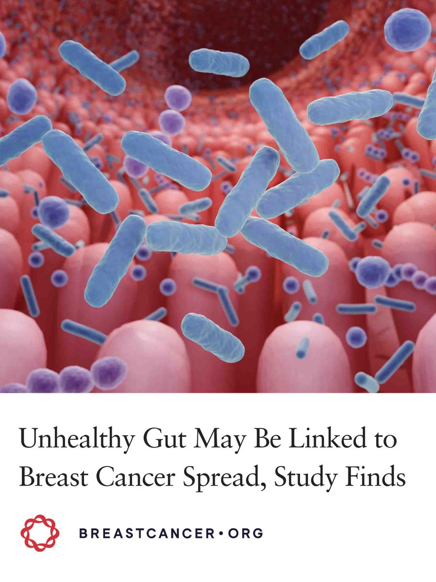 Breastcancerorg's tweet photo. Could existing cholesterol medicines help prevent breast cancer from spreading? Early research suggests certain bile acid-binding medicines may have potential, but more research is needed. 

Here's what to know: https://t.co/chMnPykmEZ

#breastcancer #metastaticbreastcancer #breastcancerresearch#breastcancerawareness
