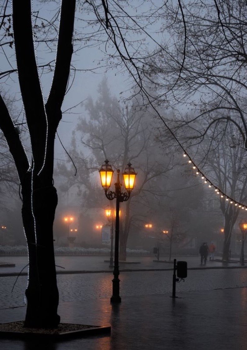 spooky_nature's tweet photo. gloomy evening https://t.co/BpbFchete8