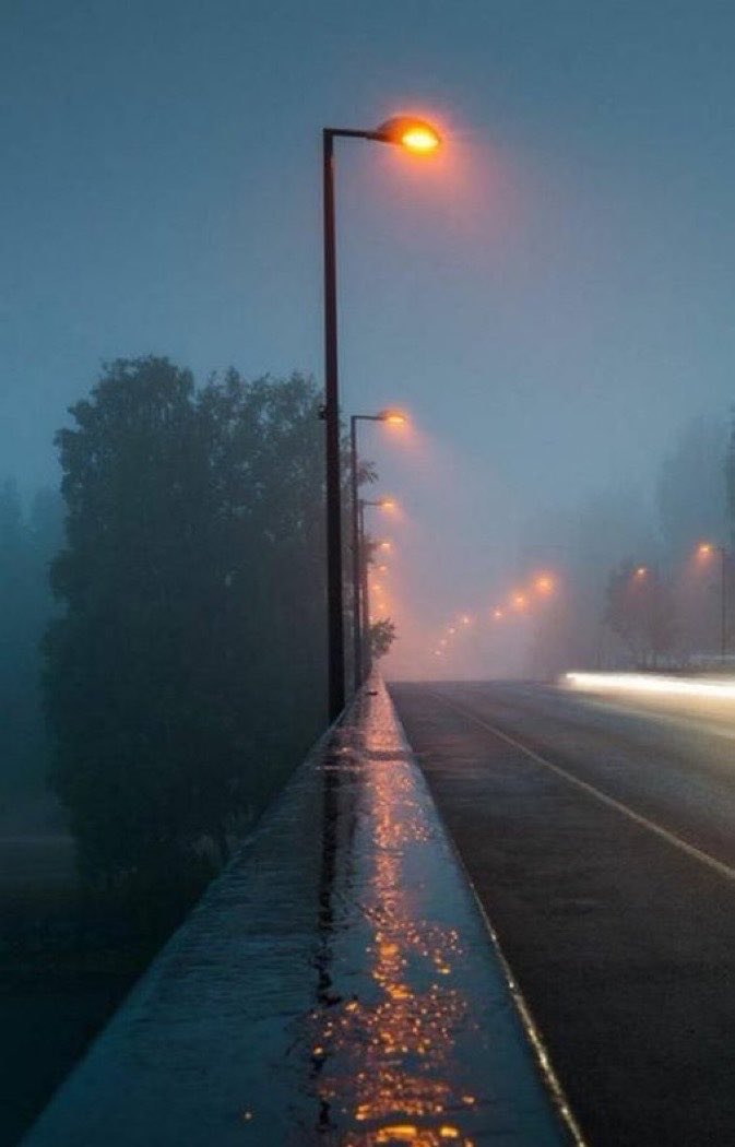 spooky_nature's tweet photo. gloomy evening https://t.co/BpbFchete8