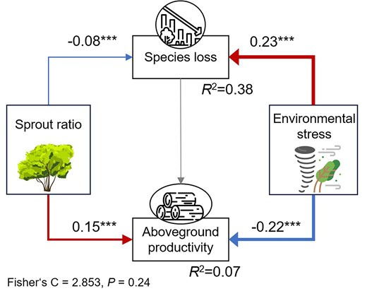 JPlantEcol's tweet photo. 【🎉Latest accepted article】
#Sprouting coincides with reduced adverse effects of #stress on #speciesloss and #productivity in a natural forest
#Tiantong | #persistenceniche
@ECNUER @PKU1898 @MaximumAcademic
https://t.co/cV19IchBip https://t.co/yZQL63F4Lj