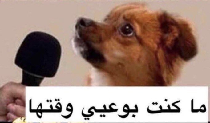 lindaa_8__'s tweet photo. @meska_mohamed https://t.co/FnhRWlZqyZ