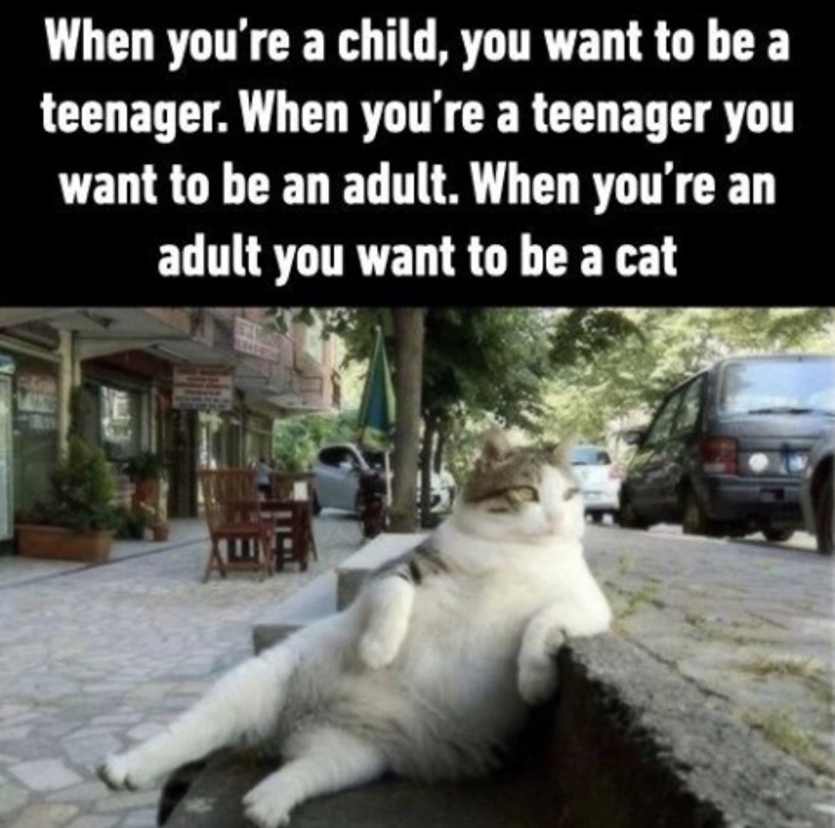 catshealdeprsn's tweet photo. Yesssss please https://t.co/8NydmUiNBV