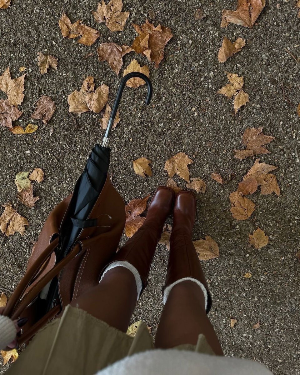 floversbook's tweet photo. 🍂 https://t.co/j9LK7LOHpg