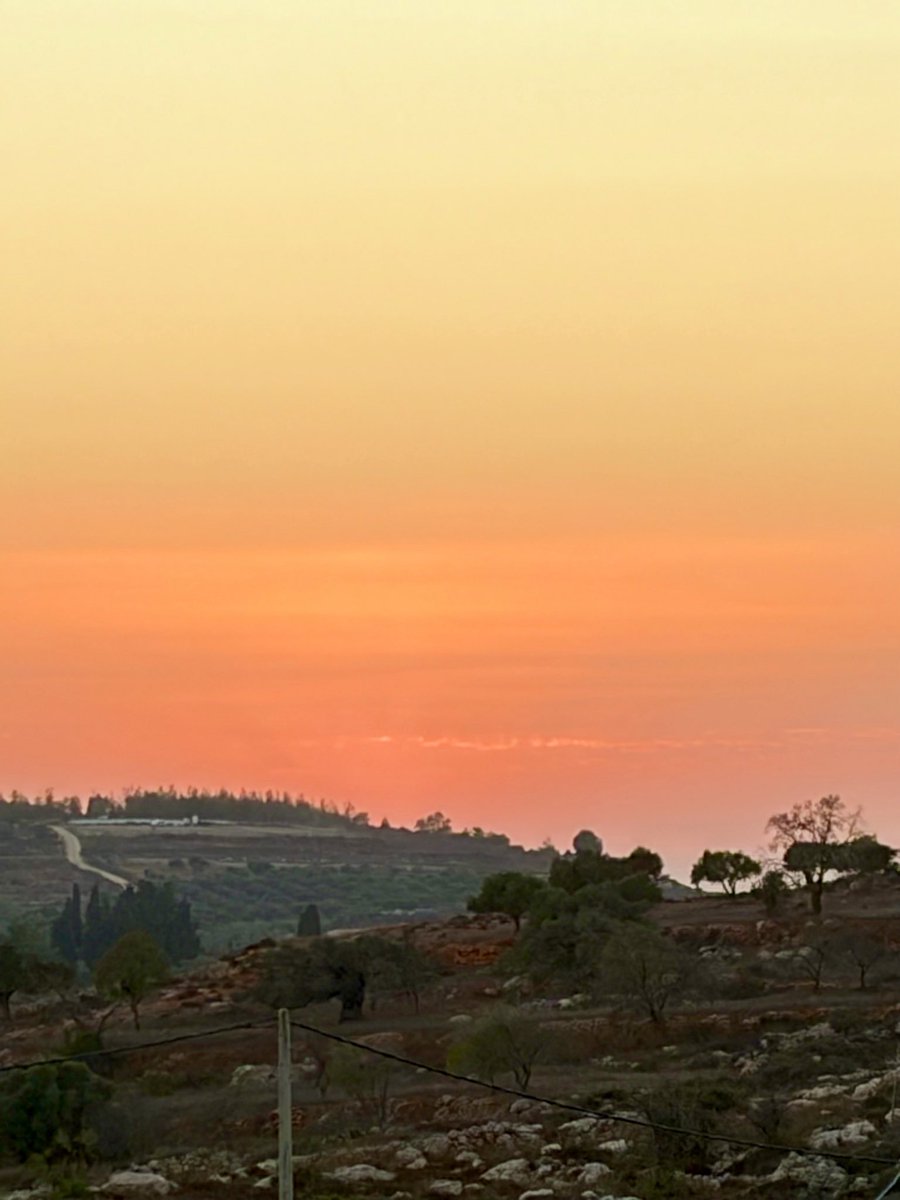 tux_warrior's tweet photo. גוש שילה https://t.co/ODLkm5Sdks