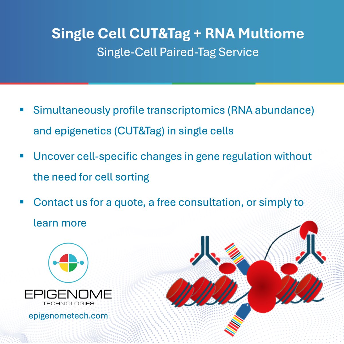 EpigenomeTech's tweet photo. Epigenome Technologies offers an end-to-end Single-Cell Paired-Tag service, the first multiomic assay that simultaneously captures RNA expression and epigenetic marks from preparation to data analysis
#Epigenetics #SingleCell #PairedTag #Multiomics
https://t.co/xFn1rmj4Sq https://t.co/CcmUXYATNU