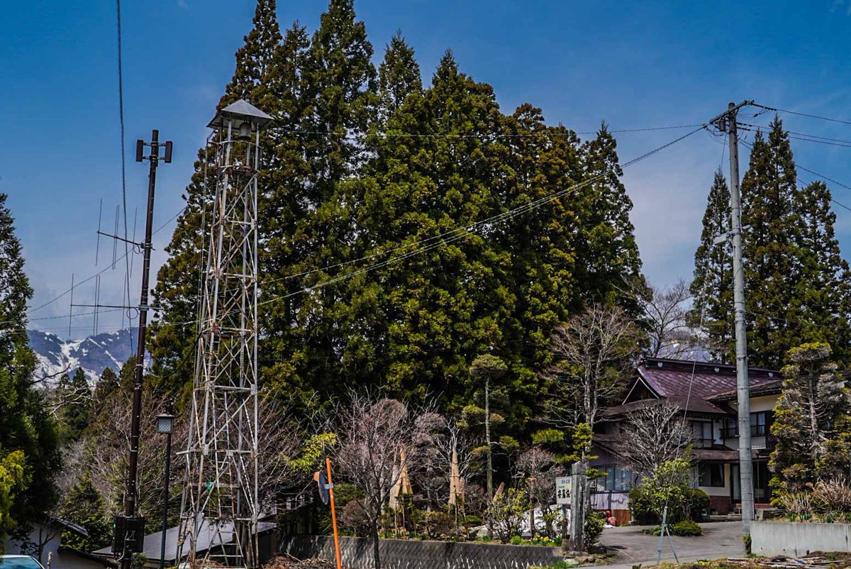 VisitMachinami's tweet photo. 長野市戸隠の安藤旅館は、素敵��雰囲気の建物でした。

#戸隠の町並み
#長野市戸隠伝統的建造物群保存地区
#安藤旅館
#長野市戸隠 https://t.co/9BMedPn0Fd