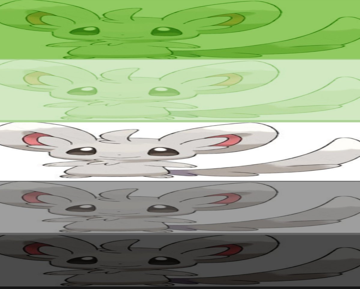AcervMinccino tweet picture