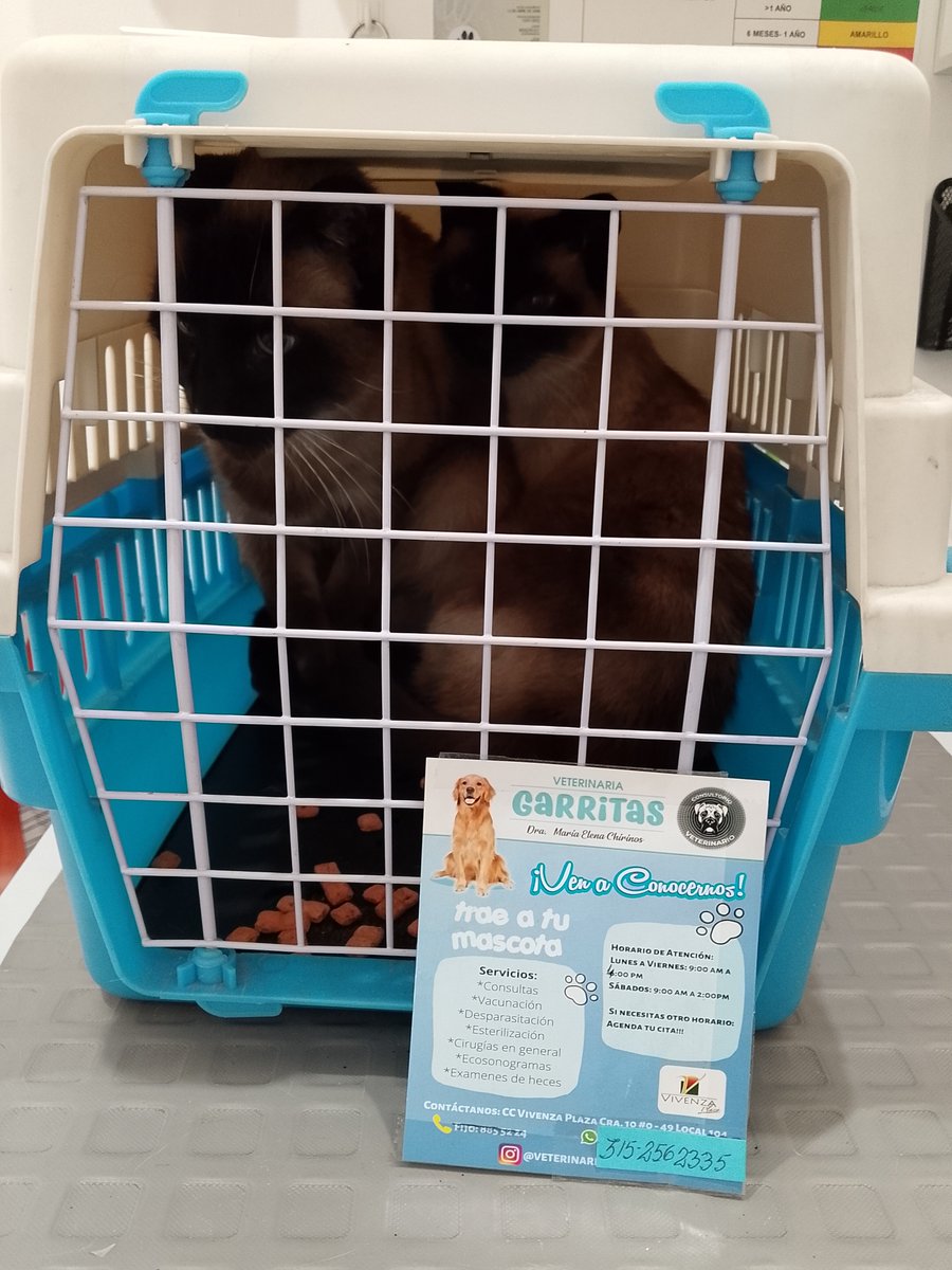 MECHG's tweet photo. Veterinaria Garritas chía Cundinamarca Colombia Vivenza Plaza local 104-- 3152562335 https://t.co/unk9d5L4Ym