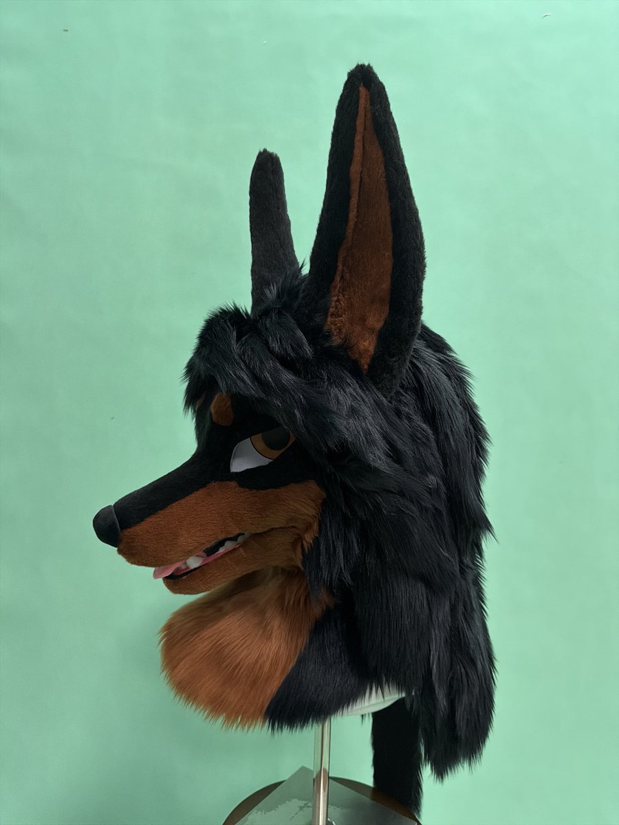 Ruby_protogen's tweet photo. Doberman fullsuit commission display
We don't just produce protogen
https://t.co/PJhrLFg2na
#fursuitcommission #rubyprotogenstudio #vcr #fursuit https://t.co/XeEsWJaH5b