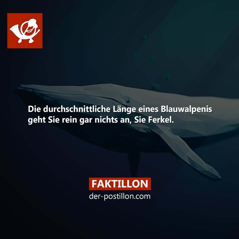 Der_Postillon's tweet photo. Fakt des Tages

Die besten Fakten als Buch 👉 https://t.co/fhdxWf4agC https://t.co/AqEEZoduvU
