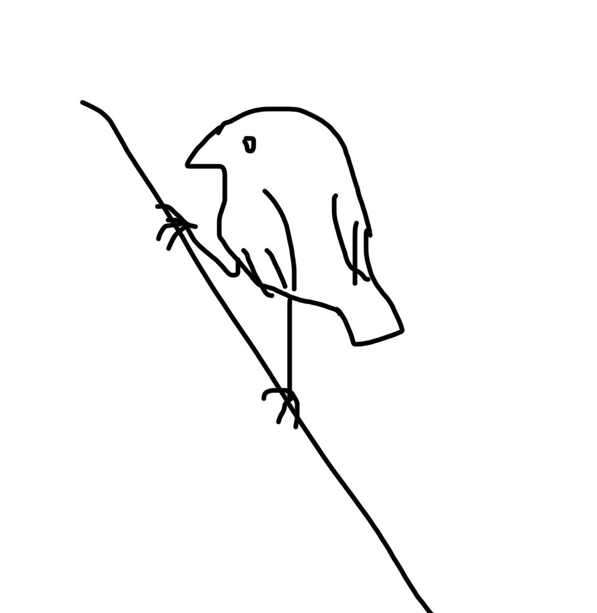 jusdcanneberge's tweet photo. I like when birds pose like this https://t.co/WCpfqLd7g1