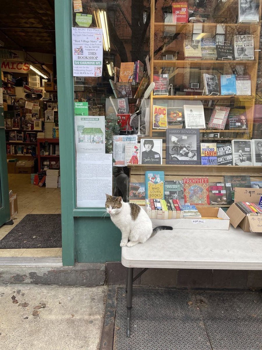 CatWorkers's tweet photo. Book stores and cats are always a winning combination. https://t.co/weUyX2saiw