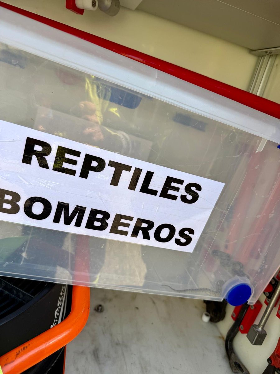 BomberosDip_VLL's tweet photo. 🐍 Ayer recibimos un aviso por una culebra que se había colado en una vivienda de Hornillos de Eresma.

🚒 La capturamos con cuidado y la devolvimos a la naturaleza, donde debe estar. https://t.co/6EcauY1h9t