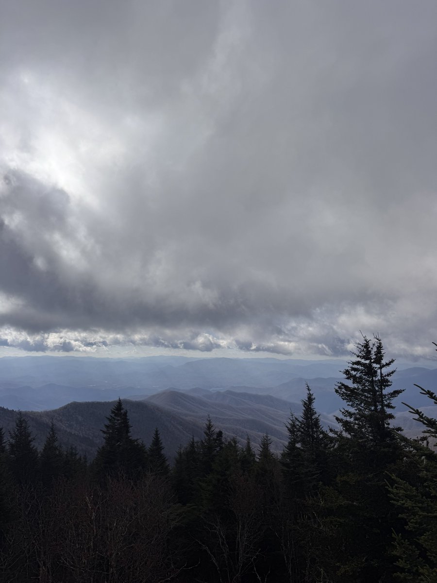 illegallybIond3's tweet photo. north carolina is the best state in the country btw https://t.co/VEZiJ9fPAj