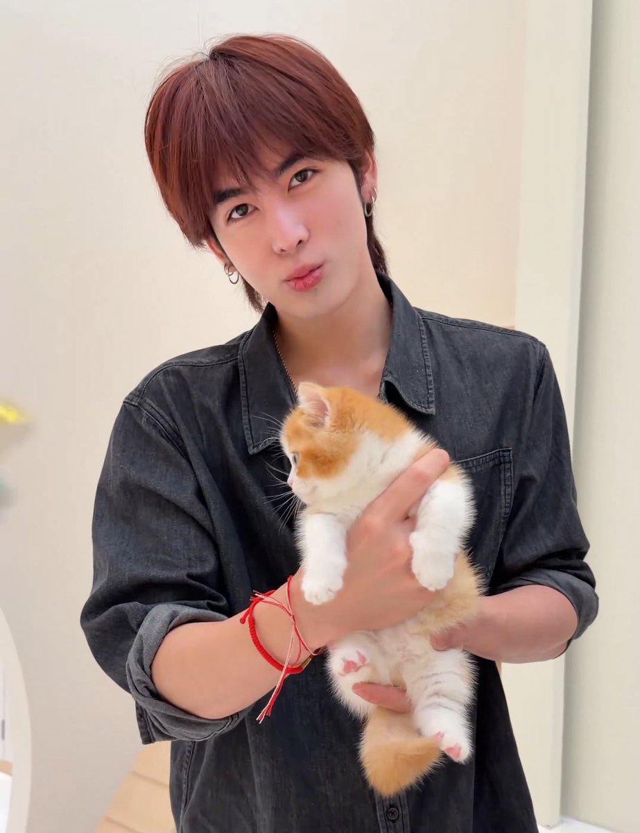 mysantapp's tweet photo. แงงง น่าย้ากง่ะ จั๊นเอนดูทั้งคนทั้งแงว หนูต้าชีตาแป๋วแข่งกับลูกมาก 😭🤲🏻🐱💘 https://t.co/oImCwNqVH9