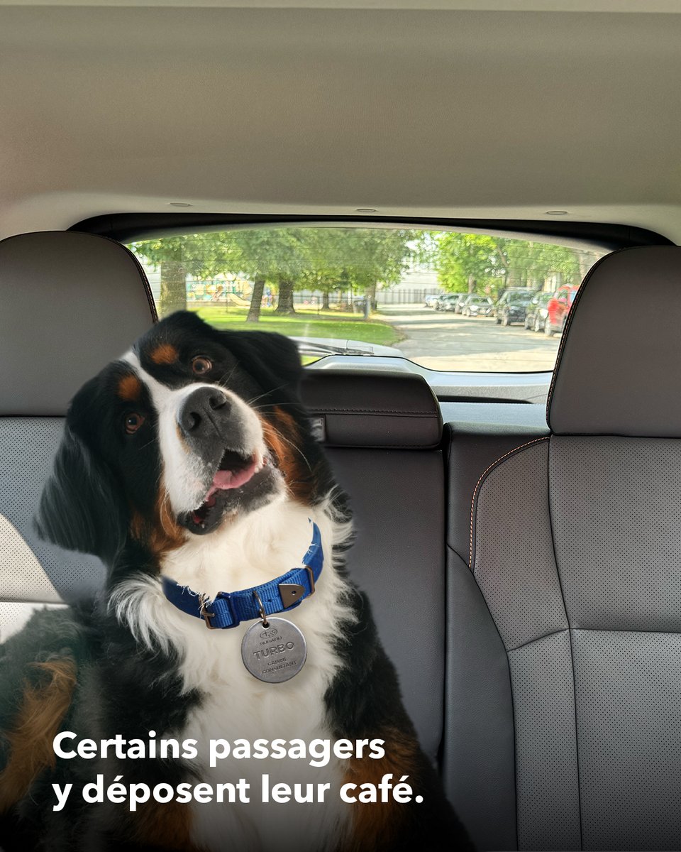 Carrousel d’images d’un chien nommé Turbo présenté comme « consultant canin » chez Subaru, avec les textes « Passez le téléphone à votre chien » et « Les porte-gobelets arrière sont importants. Certains passagers y déposent leur café. D’autres y appuient leur menton. »