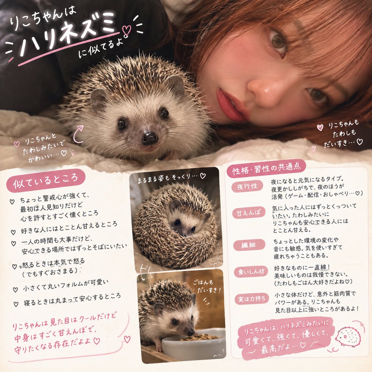 Rikoatt's tweet photo. チャッピーに似てる動物出してもらったらめちゃくちゃ顔が美化されてて笑う https://t.co/u5l7rN1Ef7